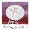 Wilco Artwork