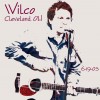 Wilco Artwork